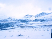 top_of_guanella_pass_part_3