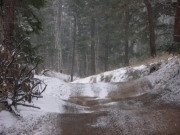 early_trail_part_1