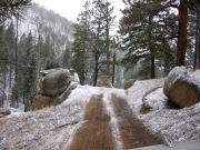 early_trail_part_2