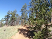 trail_part_1