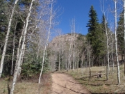 trail_part_3