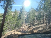 trail_part_4