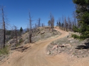 trail_part_5