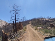 trail_part_6