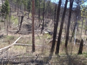 view_part_1