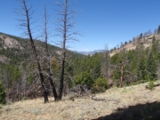 view_part_2