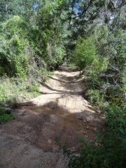 barely_a_creek_crossing