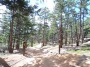 early_trail