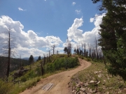 into_the_burn_area