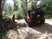 monica_on_the_trail