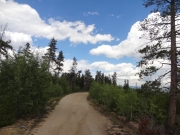 start_of_the_trail