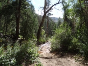 trail_in_water