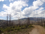 view_from_the_ridge_part_2
