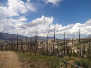 view_from_the_ridge_part_3