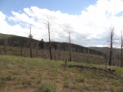 view_from_the_ridge_part_5