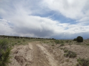 ditch