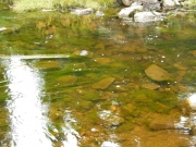 busk_creek_part_2