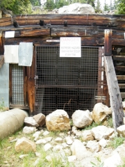 carlton_tunnel_part_3