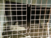carlton_tunnel_part_4