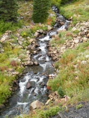 creek_part_1