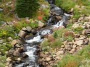 creek_part_2