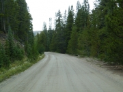 early_trail