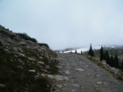 looks_like_winter