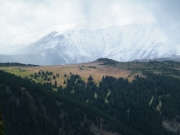 winter_fall_and_summer