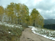 aspen_colors