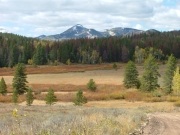 colorado_colors