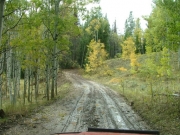 curving_road