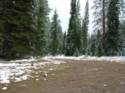 dirt_trail