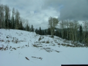 hahns_peak_descent