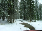 puddle