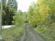 really_muddy