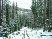 snow_melting