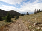 bumpy
