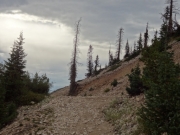 top_of_the_trail