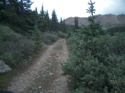 close_to_timberline