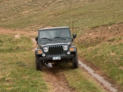 ladd_on_the_trail