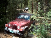 mike_through_the_creek