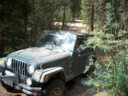 rob_through_the_creek