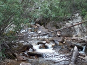 the_creek