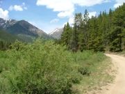 trail_views