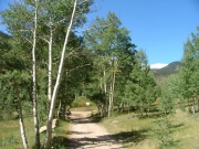 early_trail