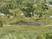 pond