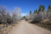 different_trees