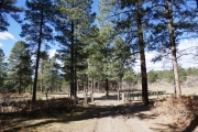 fence_and_cattle_guard