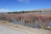 flooded