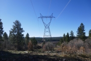 powerlines